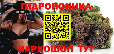 стаф Будённовск