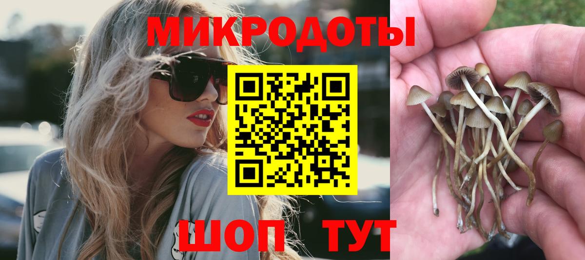 Волжск  Псилоцибиновые грибы мухоморы  где купить наркоту  Вход с VPN 